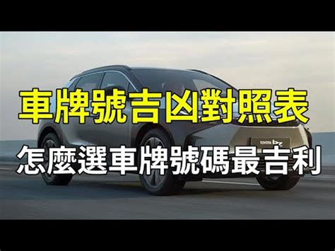 吉利车牌号码大全2024|選對車牌 2024更順利